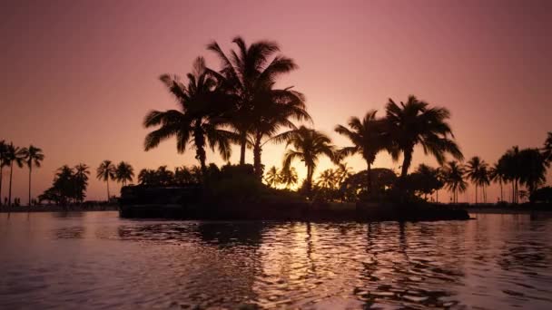 在五彩缤纷的粉红色橙色日落或日出时 阳光透过棕榈树投射在轮廓上 海滩棕榈岛后面惊人的红色日出 艳丽的橙色日出映衬在玫瑰金黄的水波中4K — 图库视频影像