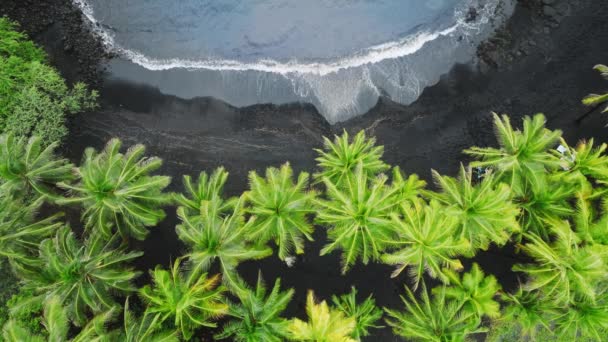 Drömresa Till Den Gröna Friluftsäventyr Resa Till Vackra Hawaii Stranden — Stockvideo