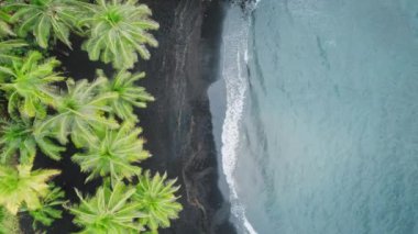 Güzel Hawaii plajına açık hava macera seyahati. Sinematik vahşi doğa hava 4K. Yavaş hareket eden mavi okyanus dalgaları ve yeşil palmiye ağaçları. Yaz günü dokunulmamış doğa. Yeşil adaya rüya gezisi