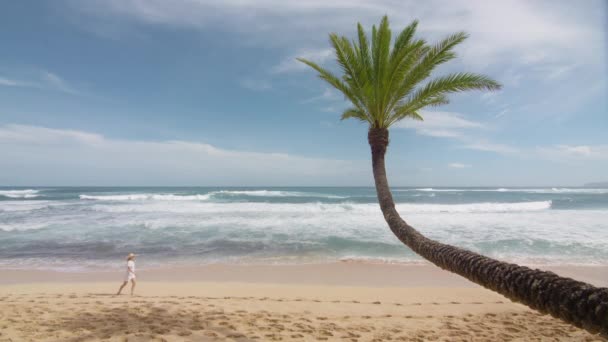 パラダイスリゾートへの夏の旅行 砂浜の海岸で曲がったヤシの木と海の海岸で楽しんでいるわら帽子の女の子 美しいオアフ島の風景 エキゾチックな休暇 熱帯の海のビーチを歩く女性 — ストック動画