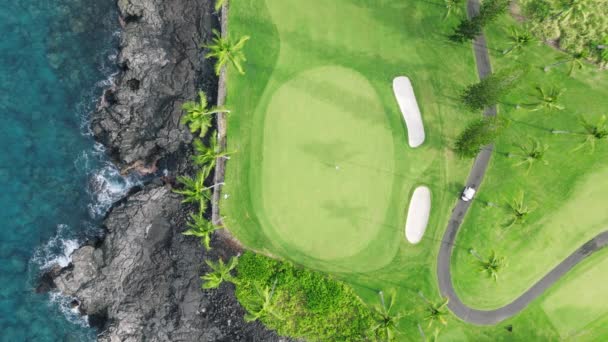 仍在绿色高尔夫球场上方 有棕榈树和透明的蓝色海水4K 壮观的空中景观 黑色熔岩岩石海岸 蓝色海洋在大岛热带海岸夏威夷美国 — 图库视频影像