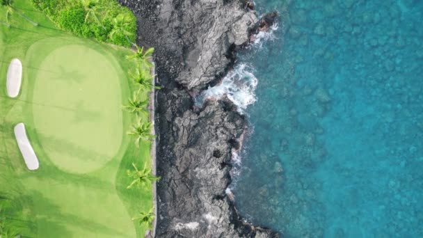 透明な青い海の水と映画のような黒い溶岩の海岸と緑のゴルフ場の上にドローントップダウン 4K美しい自然 ビッグアイランド熱帯海岸の景色の青い海 ハワイUsa — ストック動画