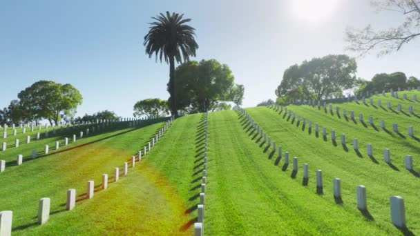 夏の日には真っ直ぐな白い墓板で緑の畑の上に風光明媚なドリーショット 国立墓地では すべてのメンバーの武装勢力を埋葬した 空中ロサンゼルス国立墓地 California Usa — ストック動画