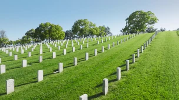 平和的な葬儀の概念 ロサンゼルス国立墓地 英語版 カリフォルニア州 夏の日にストレート行の白い墓プレートと風光明媚な緑のフィールドの上に飛んでドローン 武力国立墓地 — ストック動画