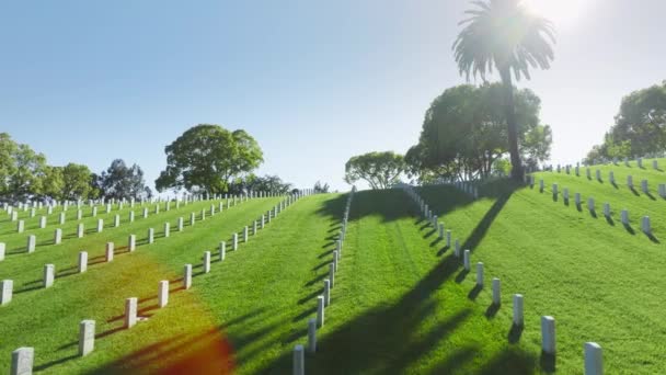 平和的な永遠の概念 ロサンゼルス国立墓地 英語版 白い墓板の列と風光明媚な緑のフィールドの上を飛んでドローン すべての武装勢力が埋葬された国立墓地 — ストック動画