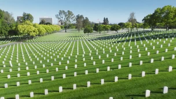 여름철에는 직선으로 늘어서 경치좋은 군인들이 Aerial Los Angeles National Cemetery — 비디오