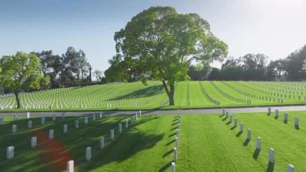 Головні Камені Вшановують Ветеранів Америки Національному Цвинтарі Лос Анджелеса Каліфорнії — стокове відео