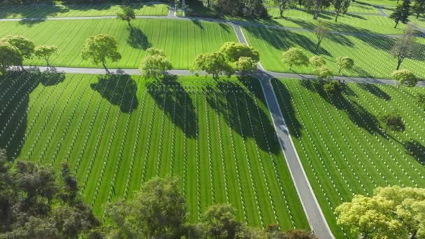 Американське Військове Кладовище Вествуд Лос Анджелесі Штат Каліфорнія Сша Рядами — стокове відео