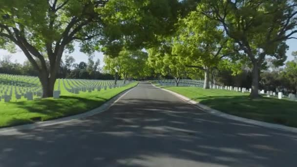 緑の木公園の墓石の行を持つ米国カリフォルニア州の墓地公園の道路に沿って速く飛ぶドローン ウエストウッド ロサンゼルスのアメリカ戦争墓地を舞台にした航空写真 — ストック動画