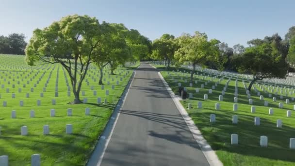 ロサンゼルス国立墓地 英語版 カリフォルニア州 夏の日にストレート行の白い墓プレートと風光明媚な緑のフィールドの上に飛んでドローン すべての武装勢力が埋葬された国立墓地 — ストック動画