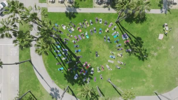 サンタモニカの緑の公園でヨガクラスのサークルの人々の概要 一緒にヨガを練習している若い人たちの幸せな多様なグループ ストレッチ 早朝屋外のウェルネス — ストック動画
