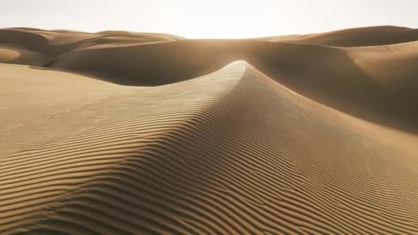在低日照下 在沙漠自然的沙滩上 有波纹纹理的电影空中背景 令人难以置信的一击 强风刮过沙子 夕阳西下 金黄色的沙子在波纹的沙丘之上 — 图库视频影像