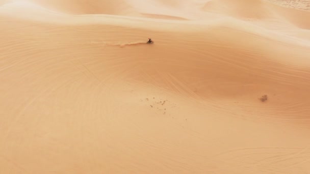 熟練したモトクロスライダーは 砂丘4Kで駆動します 砂漠の砂丘をオフロードダートバイカー 空中ビュードローンショット極端なスポーツの男と一緒に速く乗って砂丘で風光明媚な砂の塵の後ろに — ストック動画