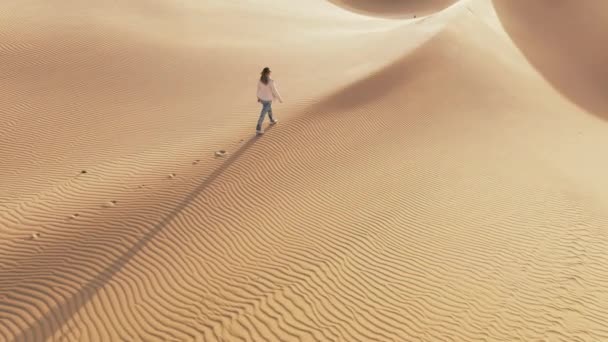 Rallentatore Del Turismo Femminile Passeggiando Nel Paesaggio Naturale Desertico Filmato — Video Stock