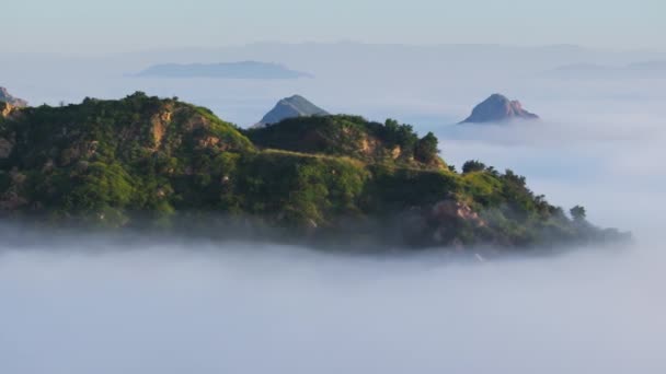 Zielony Las Szczycie Góry Kinowym Chmurowym Krajobrazie Unoszącym Się Błękitnym — Wideo stockowe