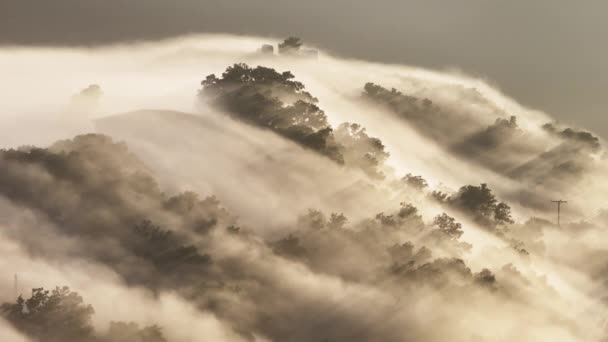 Όμορφη Φύση Φόντο Παχιά Ομιχλώδη Σύννεφα Που Επιπλέουν Μεταξύ Κορυφές — Αρχείο Βίντεο
