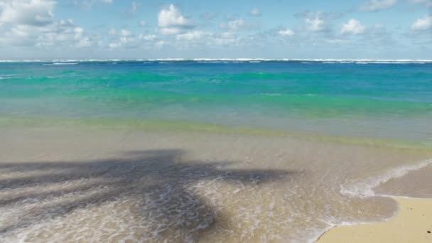 Ідеальні Гавайські Острови Ідилічний Тропічний Пляж Мальовничою Тінню Пальм Золотому — стокове відео