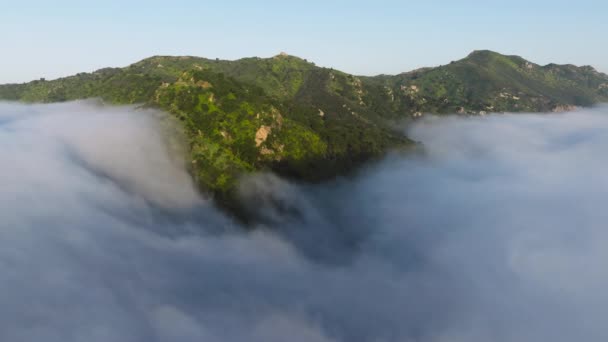 在日出时分 无人驾驶飞机飞越绿山山顶 被浓雾笼罩的空中景象 背景为4K的蓝天山顶绿林环抱的电影云彩 — 图库视频影像