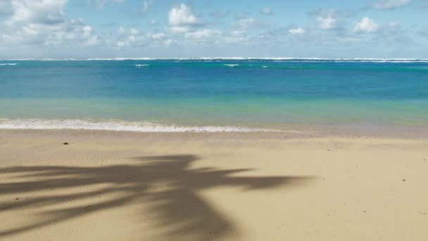 Relaks Pustej Plaży Morskiej Podróż Rajskiej Plaży Morskiej Idealne Hawajskie — Wideo stockowe