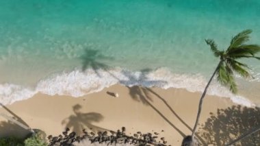 Kadın, şeffaf turkuaz deniz mavisi deniz dalgaları boyunca tropikal kumsalda yürüyor. 4K USA. Oahu Adası 'nda yaz tatilinde bir turist. Yeşil Hawaii adasına rüya gezisindeki tepeden aşağı kadın