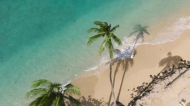Oahu Adası 'nda yaz tatilinde bir turist. Yeşil Hawaii adasına rüya gezisindeki tepeden tırnağa kadın. Kadın, şeffaf turkuaz deniz mavisi deniz dalgaları boyunca tropikal kumsalda yürüyor. 4K USA