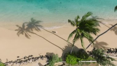 Yeşil Hawaii adasına rüya gezisindeki tepeden tırnağa kadın. Kadın, şeffaf turkuaz deniz mavisi deniz dalgaları boyunca tropikal kumsalda yürüyor. 4K USA. Oahu Adası 'nda yaz tatilinde bir turist.