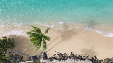 Oahu Adası 'nda yaz tatilinde en iyi turist. Yeşil Hawaii adasına rüya gezisi yapan bir kadın. Kadın, şeffaf turkuaz deniz mavisi deniz dalgaları boyunca tropikal kumsalda yürüyor. 4K USA