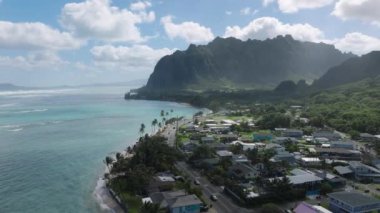 Sinematik Kualoa Çiftlik Parkı, Oahu Adası, ABD. İnsansız hava aracı Hawaii doğası boyunca uçuyor. Manzaralı dağları olan yeşil tropik bir ada. Yaz tatili, egzotik seyahat beldesi