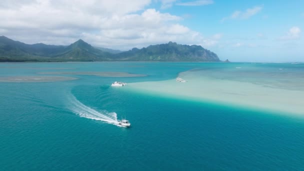 Turisztikai Katamarán Vitorlázás Sekély Tiszta Vízben Cinematikus Légi Tájkép Tiszta — Stock videók