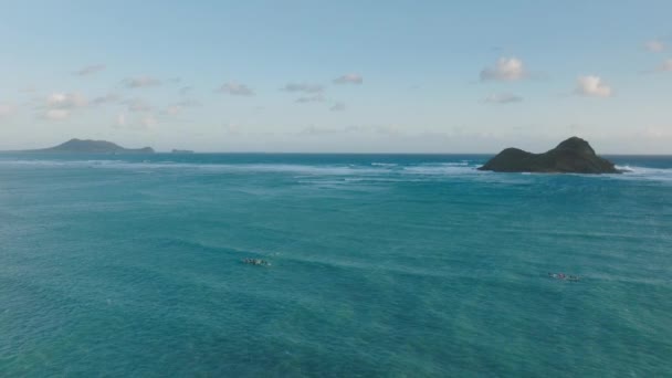 Atletas Aéreos Drones Personas Remando Kayaks Deportivos Destino Tropical Exótico — Vídeos de Stock