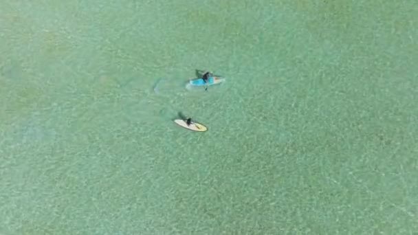 Αεροφωτογραφία Των Τουριστών Που Απολαμβάνουν Θαλάσσια Σπορ Κατά Διάρκεια Των — Αρχείο Βίντεο