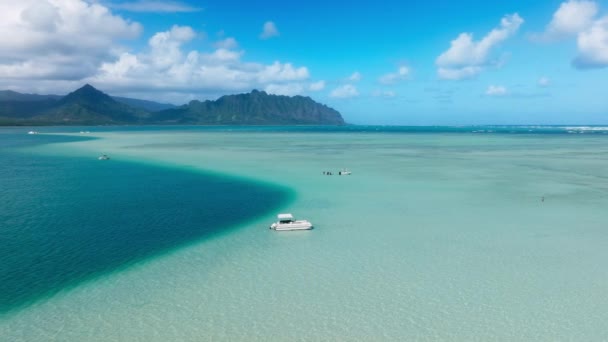 Узбережжя Оаху Острові Гаваї Дивовижний Краєвид Блакитної Лагуни Вид Повітря — стокове відео