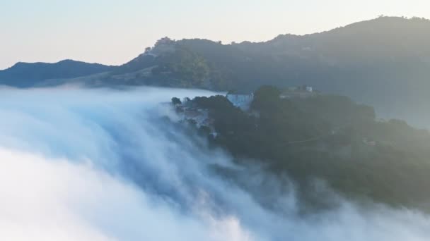 无人机在绿山的山顶上飞行 被浓雾笼罩 青翠的山顶森林在电影般的云雾中飘扬 蓝天作为背景 金色日出时的空中风景 — 图库视频影像
