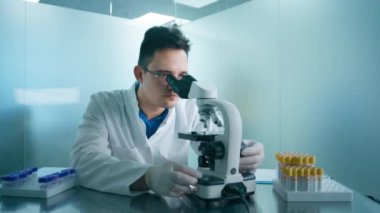 Mikroskop altında bakan odaklanmış bilim adamı portresi, petri kabı örneğini analiz eder. İlaç kullanan büyük bir ilaç laboratuarı. Tıbbi gelişim laboratuvarında çalışan zeki insanlar kavramı