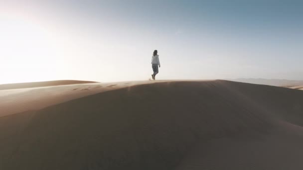Τουριστική Γυναίκα Θυελλώδη Μέρα Στην Έρημο Drone Που Φέρουν Πίσω — Αρχείο Βίντεο