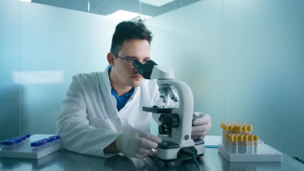 聚焦的科学家男性在显微镜下的画像 分析培养皿样品 做药物的大制药实验室在医学发展实验室工作的聪明人的概念 — 图库视频影像