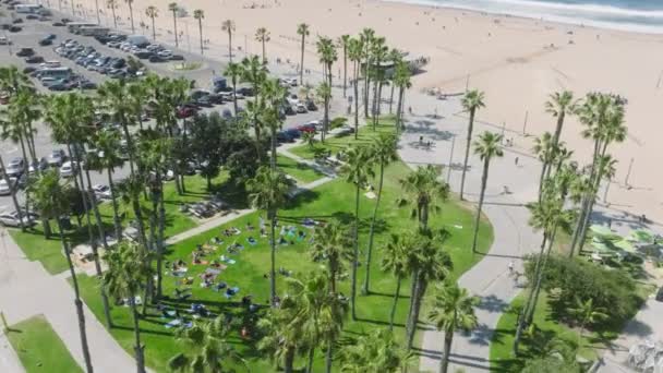 Sabahın Erken Saatlerinde Santa Monica Daki Yeşil Plaj Parkında Yoga — Stok video