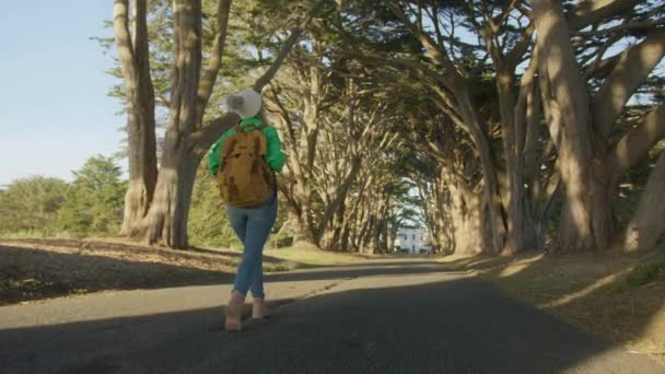 北カリフォルニア自然公園のコンセプトは4Kを旅する カメラは旅や冒険中の女性に従う 若い千年の旅行者や旅行ブロガーと観光バックパック美しいヒノキの木のトンネルを歩く — ストック動画