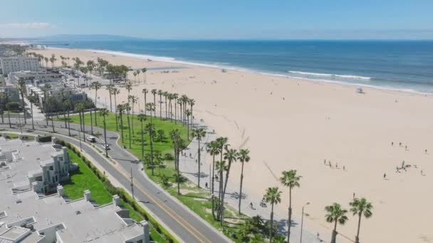 Landschappelijk Uitzicht Fiets Rolschaatspad Langs Strandpark Met Palmbomen Luchtfoto Santa — Stockvideo