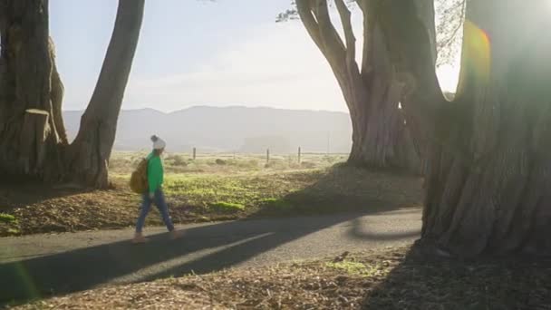 自然冒険のコンセプトにパララックス効果スローモーションショット ハッピーバックパッカーの女の子は 自然のアメリカを探索ハイキング 黄金の日の出にヒノキの木の路地を歩く女性に平行して移動する赤いカメラ — ストック動画