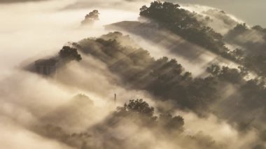 Orman tepesi 4K gökyüzü manzarasından düşen sisli bulutların arasından parlayan sinematik altın gün doğumu. Dağın zirvesinde ağaç tepeleri arasında yüzen kalın sisli bulutlarla güzel bir arka plan.