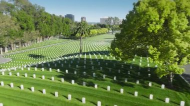 Los Angeles Ulusal Mezarlığı, Kaliforniya ABD. İnsansız hava aracı, yaz günü düz sıra beyaz mezar plakalarıyla yeşil arazi üzerinde uçuyor. Silahlı kuvvetlerin gömülü olduğu ulusal mezarlık.