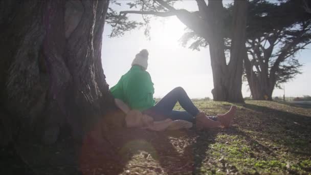 Attrayant Jeune Femme Voyageant Dans Nature Explorer Beaux Espaces Caméra — Video