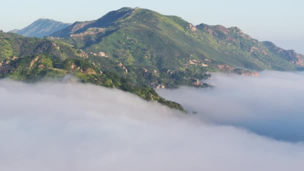 电影云彩飘扬在青翠的森林周围的山顶 蓝天背景为4K 日出时分 无人驾驶飞机飞越绿山山顶 被浓雾笼罩的空中景象 — 图库视频影像
