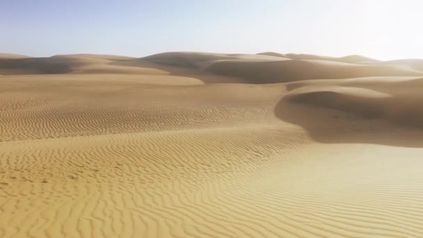 ドローンは真上の青い空と黄金の砂丘の上の地平線に向かってまっすぐ飛んでいます 深い影と砂丘のピークテクスチャ 日没4Kで空中風光明媚な砂漠の自然 美しいサハラ砂漠の風景 — ストック動画