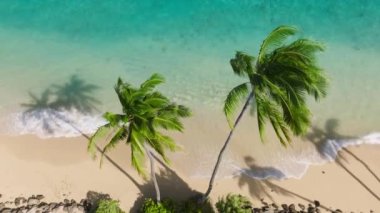 Güzel Hawaii plajına açık hava macera seyahati. Sinematik vahşi doğa hava 4K. Şeffaf yeşil deniz sularının yavaş hareket eden dalgaları. Güneşli yaz gününde dokunulmamış doğa. Yeşil adaya rüya gezisi