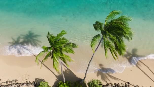 美しいハワイのビーチへの屋外アドベンチャー旅行 映画野生の自然空中4K 透明な緑の海の波の遅い動き 晴れた夏の日に非接触自然 緑の島への夢の旅 — ストック動画
