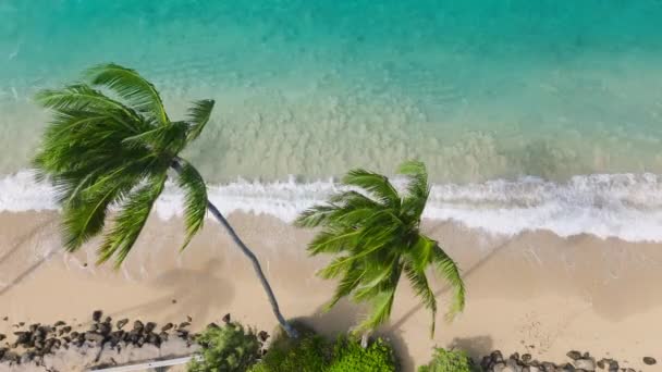 透明な緑の海の波の遅い動き 晴れた夏の日に非接触自然 緑の島への夢の旅 美しいハワイのビーチへの屋外アドベンチャー旅行 映画野生自然空中4K — ストック動画