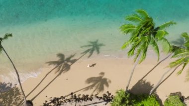 Oahu adasındaki tropikal hava manzarasının tadını çıkaran hava manzaralı genç bir kadın. Plajda beyaz kum tepesinde güneş şapkası takan bronzlaşmış bir kadın. Gök suyu, yeşil palmiyeli kumlu tropikal plaj, üst manzara 4K US.