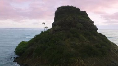 Yeşil Çinlilerin şapka adasındaki iki uzun yeşil palmiye ağacının yakın görüntüsü. Hava Mokolii Adası manzarası gün doğumunda. Hawaii 'nin sinematik ve güzel kıyı manzarası. Oahu Adası Hawaii